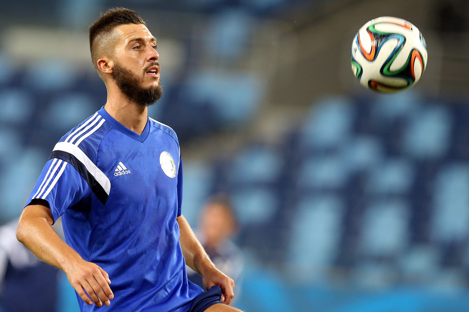 Haris Medunjanin (Foto: EPA)