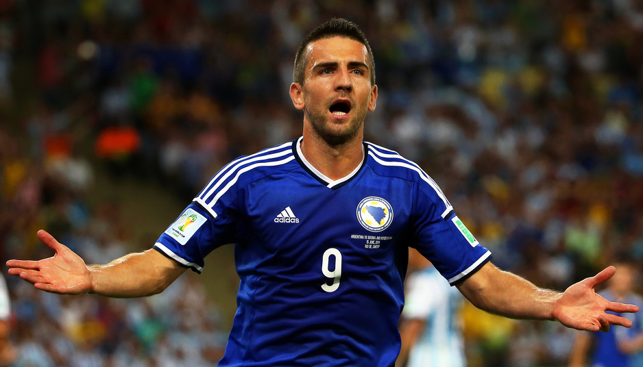 Vedad Ibišević (Foto: EPA)