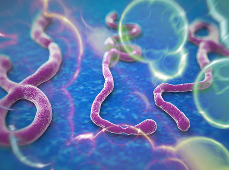Mikroskopski prikaz virusa ebole