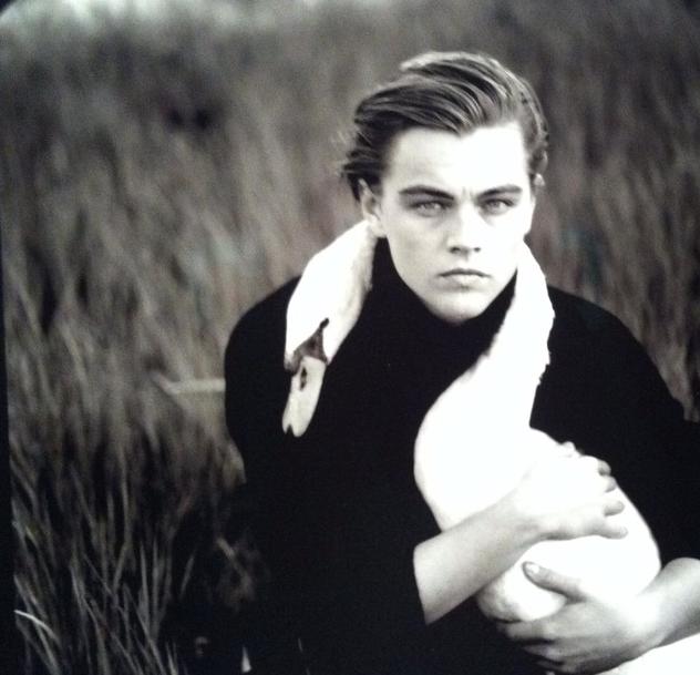 Leonardo DiCaprio