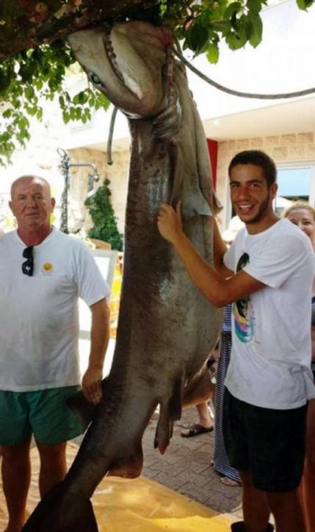 Foto: SRNA