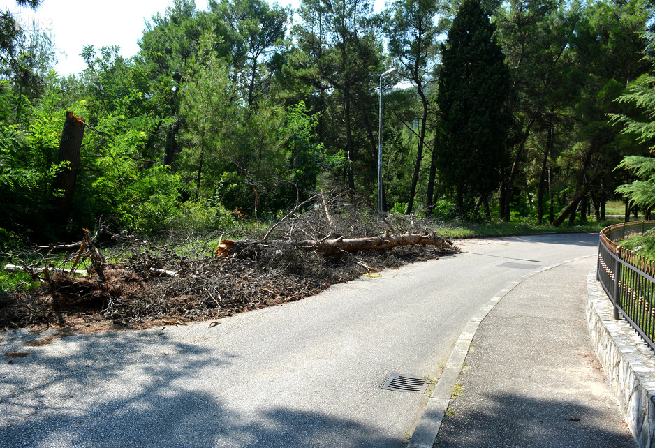 Foto: Željko Miličević/Klix.ba