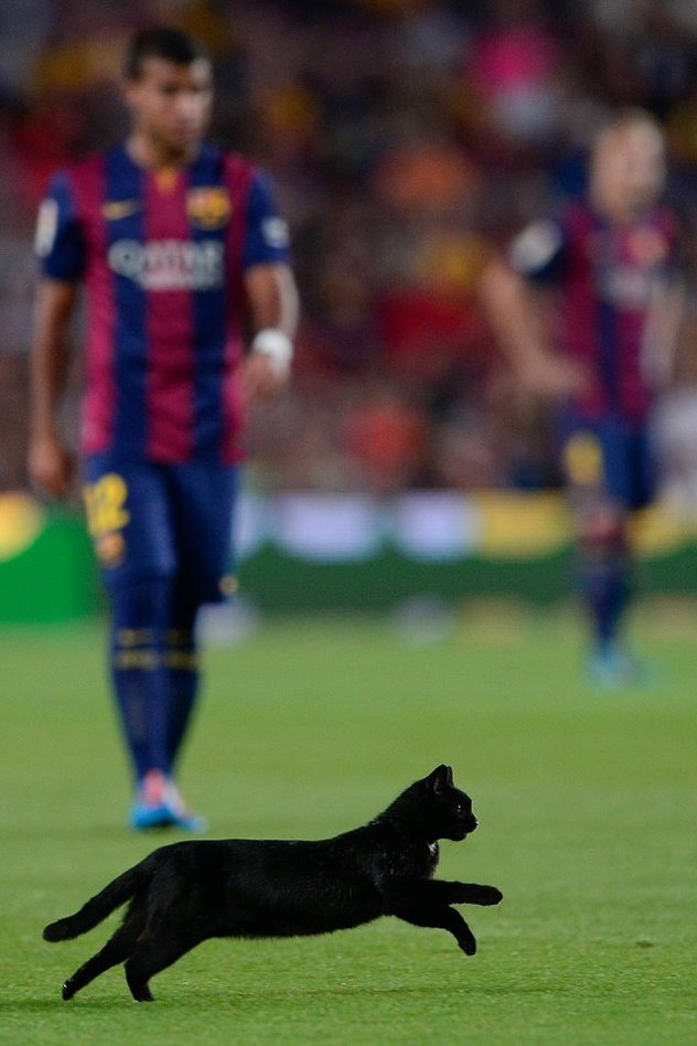 Foto: AFP