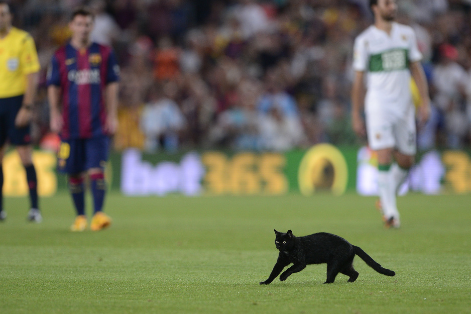 Foto: AFP
