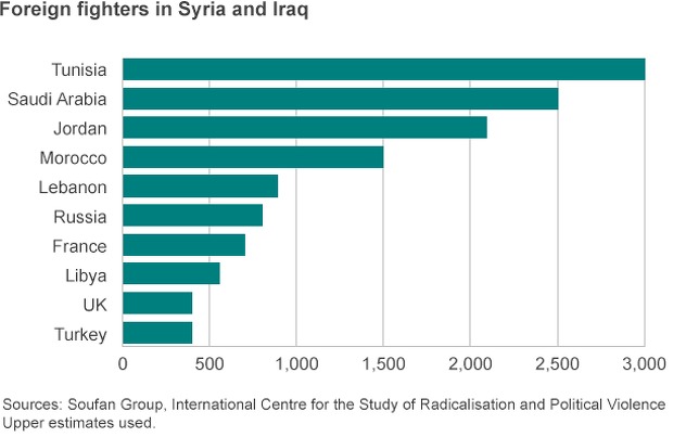 Strani borci u Siriji i Iraku