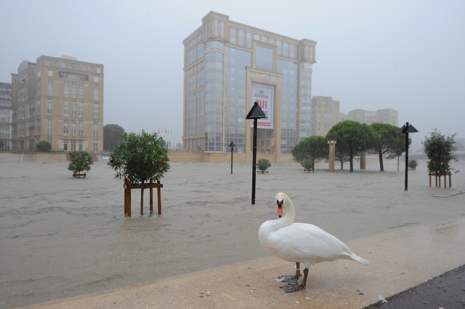 Montpellier (Foto: AFP)