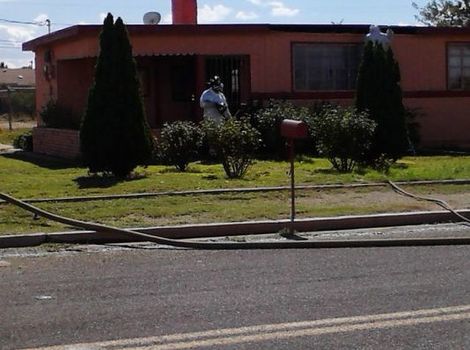 Roj od 800.000 pčela napao i usmrtio vrtlara u Arizoni