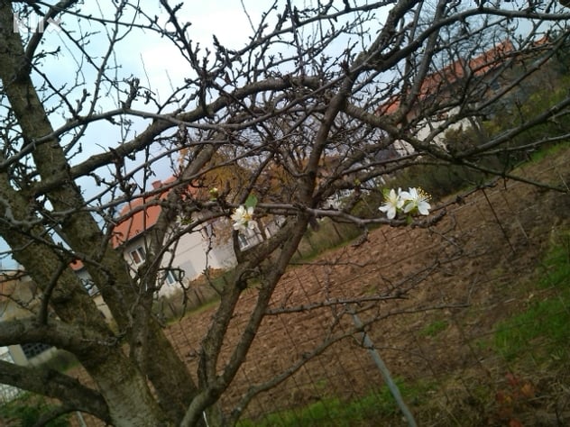 Foto: Čitatelj/Klix.ba
