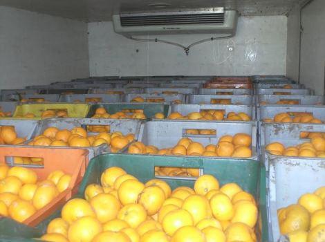 Mandarine bez dokumentacije, Foto: GP BiH