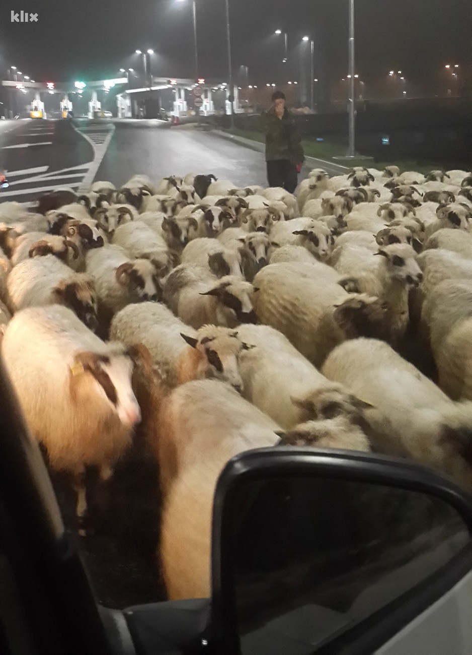 Foto: Čitatelj/Klix.ba