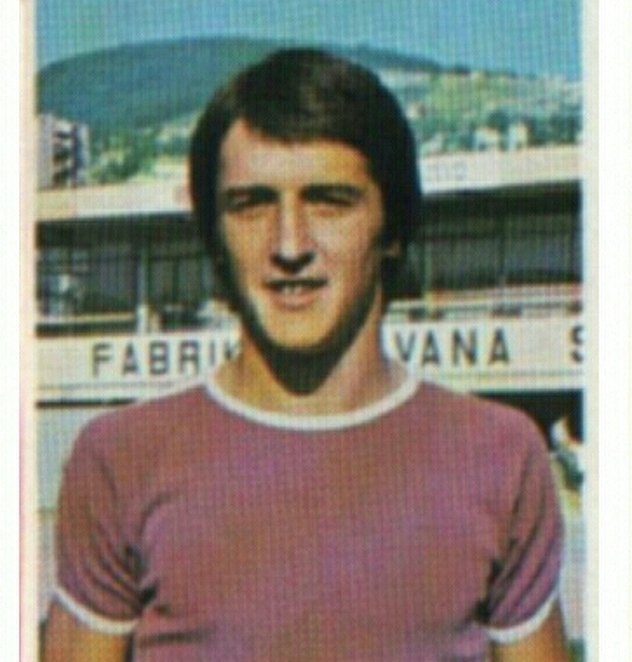 Faruk Hadžibegić