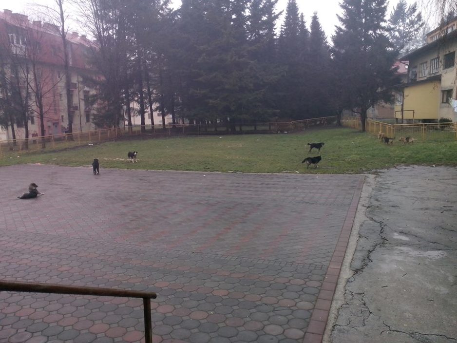 Dvroište vrtića Trešnjica