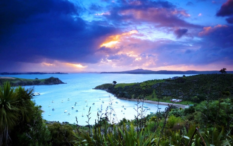 Otok Waiheke (Novi Zeland)