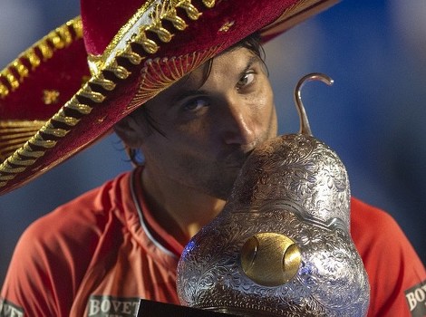 David Ferrer (Foto: AFP)