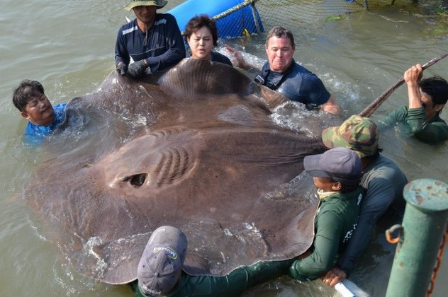 Foto: National Geographic