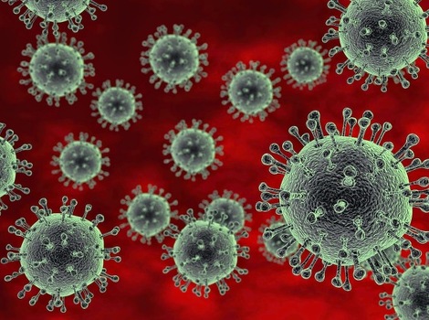 Novootkriveni virus mutira vlastite gene kako bi bolje iskoristio domaćina
