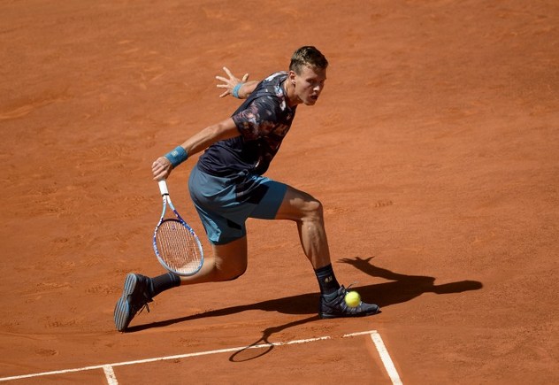 Tomas Berdych (Foto: AFP)
