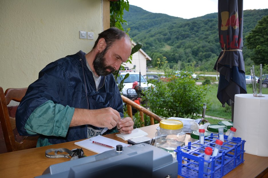 Istraživnaje makrozoobentosa (Foto: Jelena Đuknić)