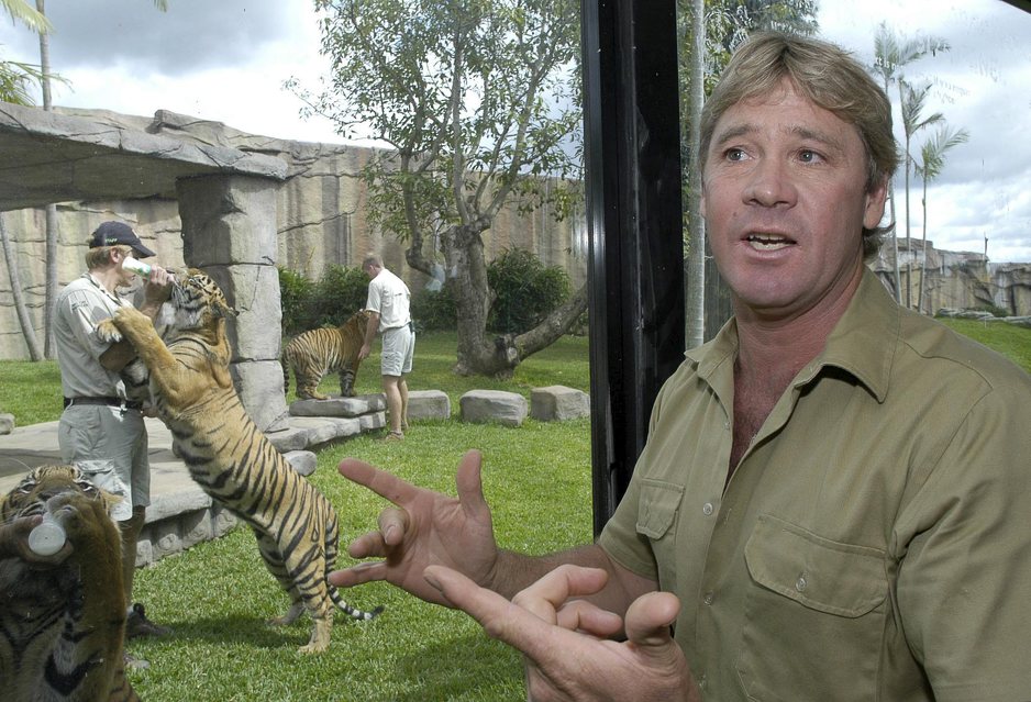 Stewe Irwin (Foto: EPA)
