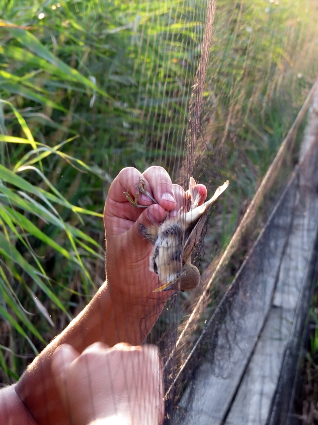 Foto: Jovica Sjeničić