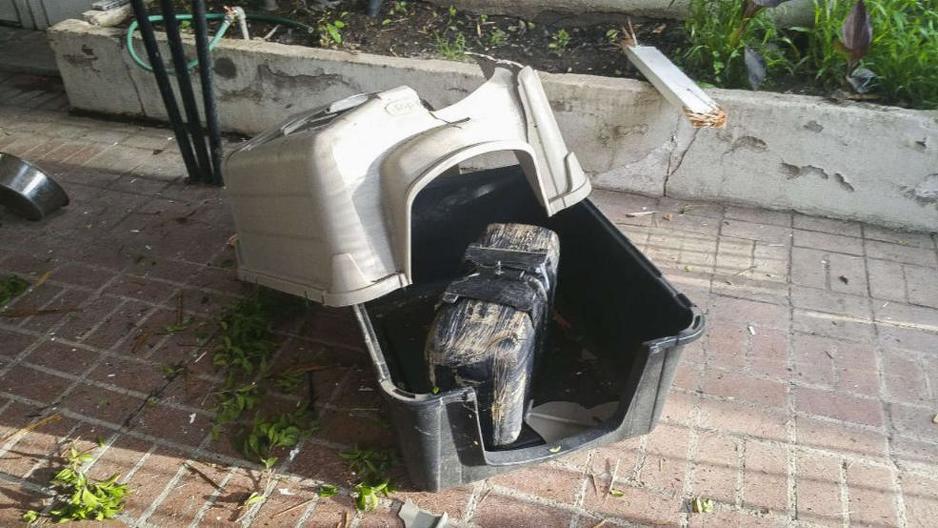 Njemački ovčar Hulk imao je veliku sreću (Foto: Policija)
