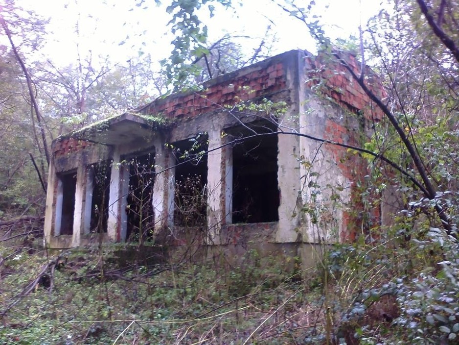 Foto: Anadolija