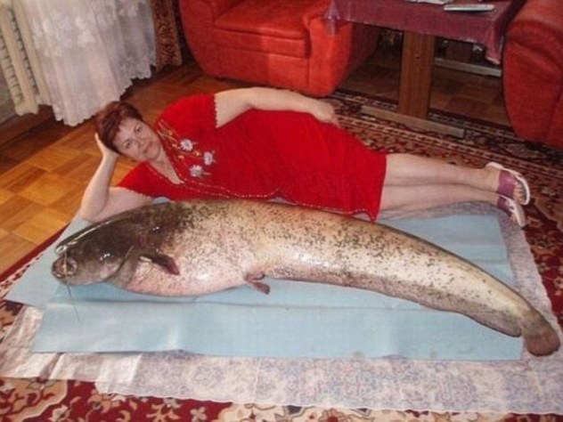 Upoznavanje ruskih ruža