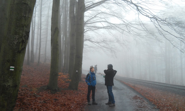 Foto: Telegraf