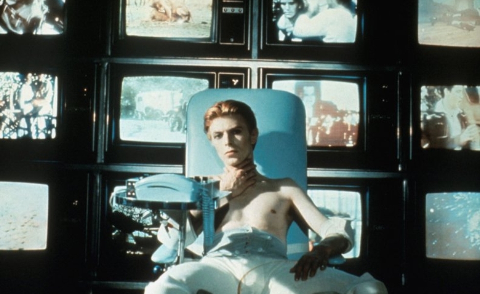 The Man Who Fell to Earth