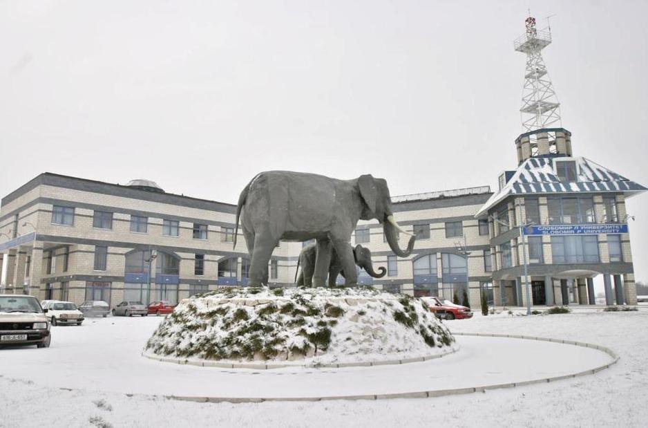 Slobodan Pavlović je izabrao figuru azijskog slona kao simbol svog privatnog grada, jer su snažni i mudri. (Foto: CIN)