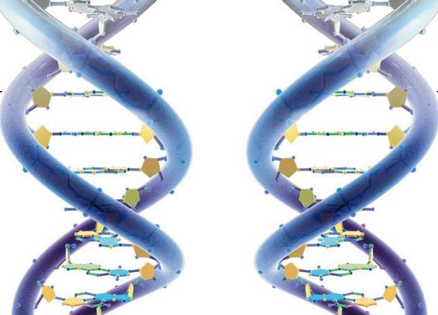 Neispravna i ispravna prezentacija molekule DNK