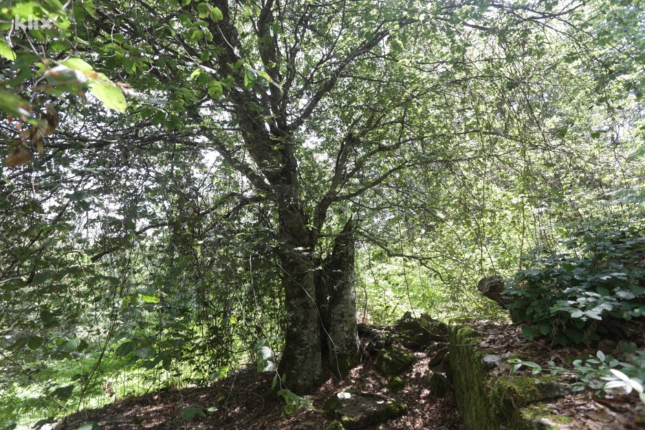 Foto: Feđa Krvavac/Klix.ba