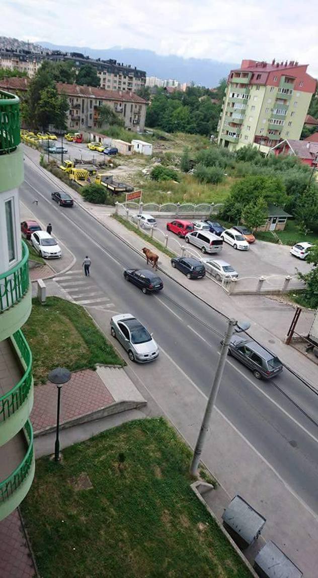 Foto: Čitatelj/Klix.ba