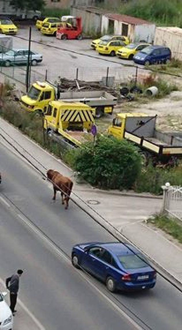 Foto: Čitatelj/Klix.ba