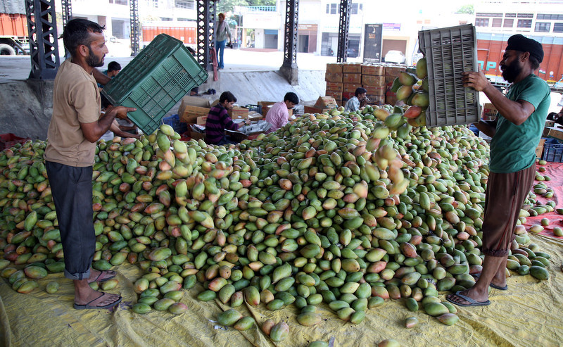 Mango (Foto: EPA)