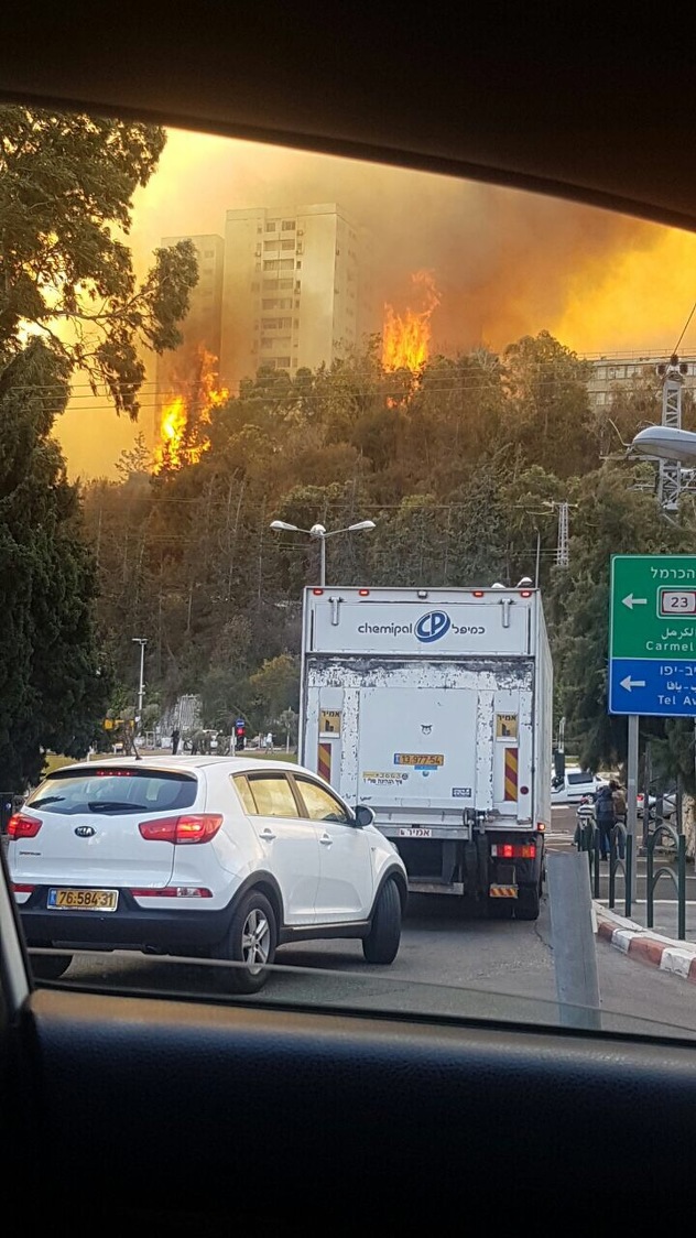 	 Izrael: Požar guta Haifu, evakuisane desetine hiljada ljudi 161124124.2_mn
