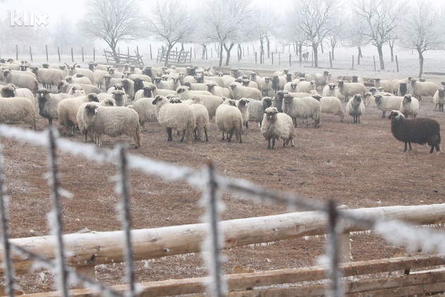 (Foto: Elmedin Mehić/Klix.ba)