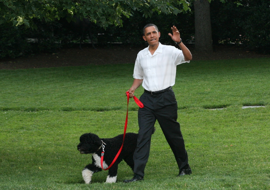Barack Obama imao je psa koji se zvao Bo (Foto: EPA)