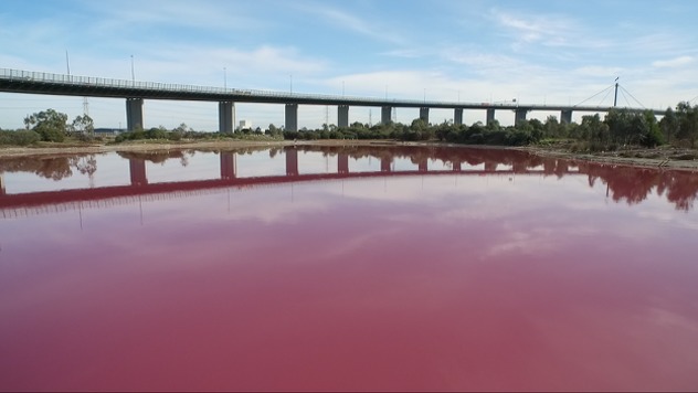 Jezero porozilo zbog alge Dunalliela (Foto: Parks Victoria)