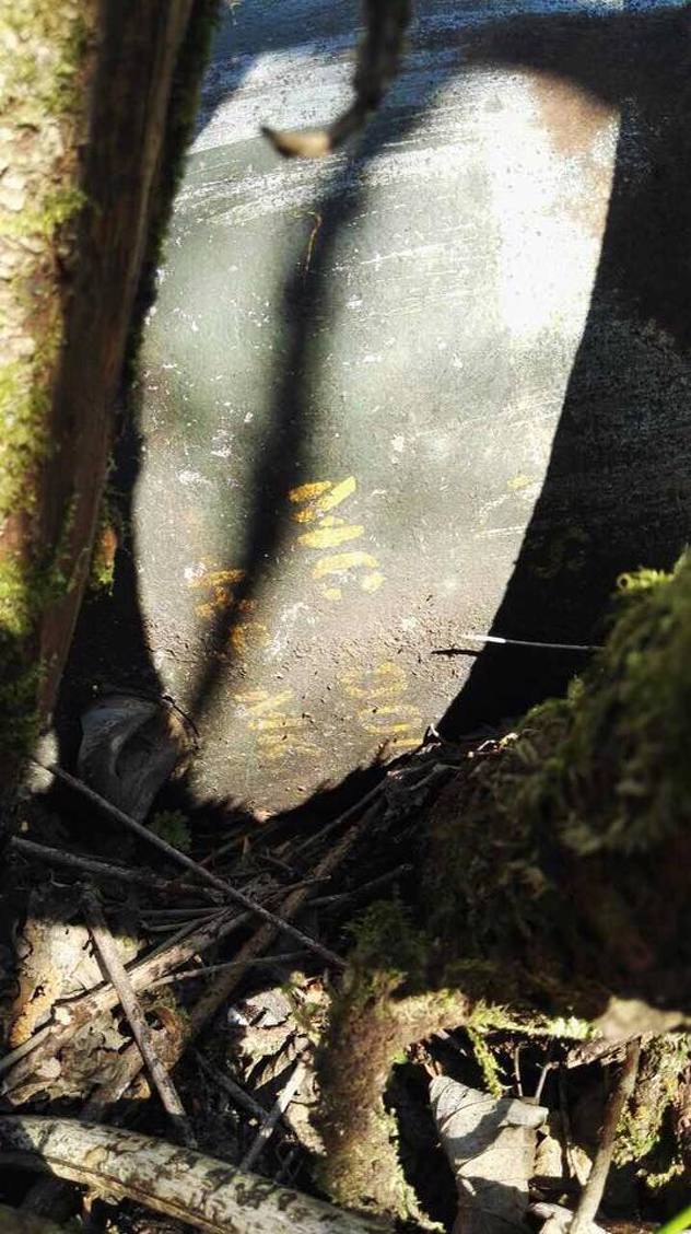 Aviobomba iz Drugog svjetskog rata (Foto: Facebook)