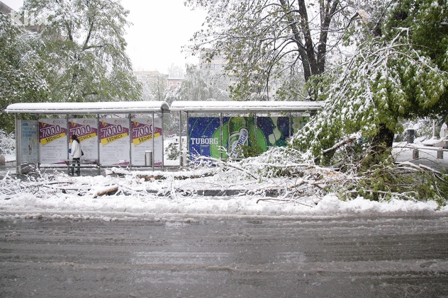 (Foto: Feđa Krvavac/Klix.ba)