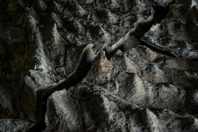 (Foto: National Geographic)