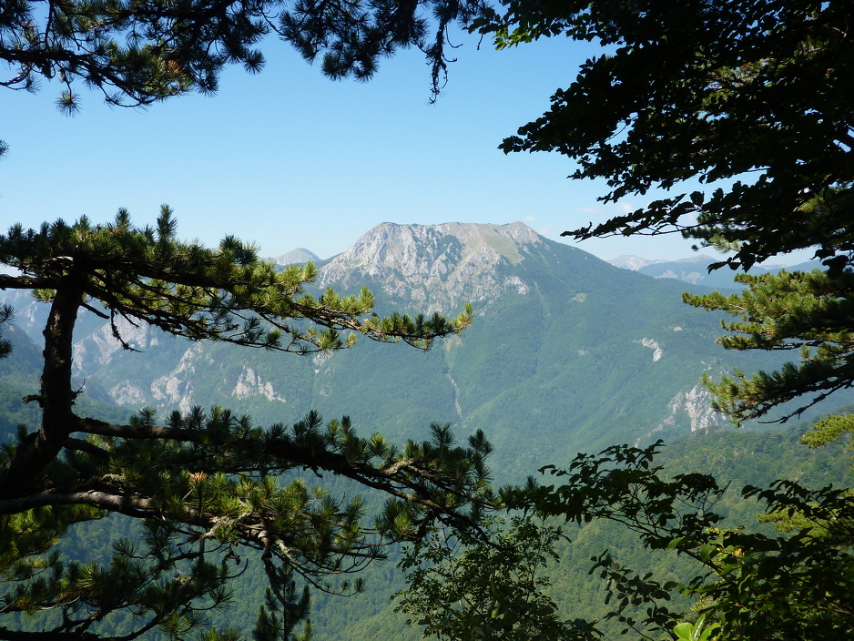 Perućica