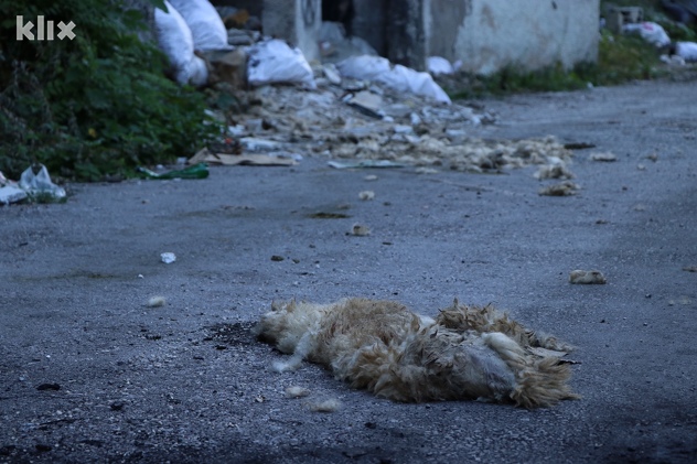 (Foto: Harun Muminović/Klix.ba)
