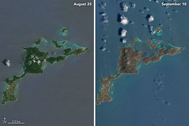 Foto: NASA Earth Observatory