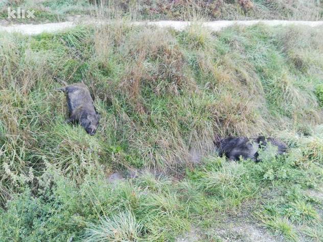 Foto: Čitatelj/Klix.ba