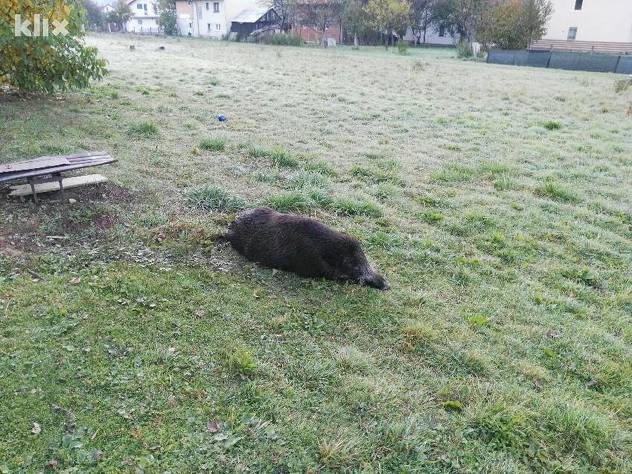 Foto: Čitatelj/Klix.ba