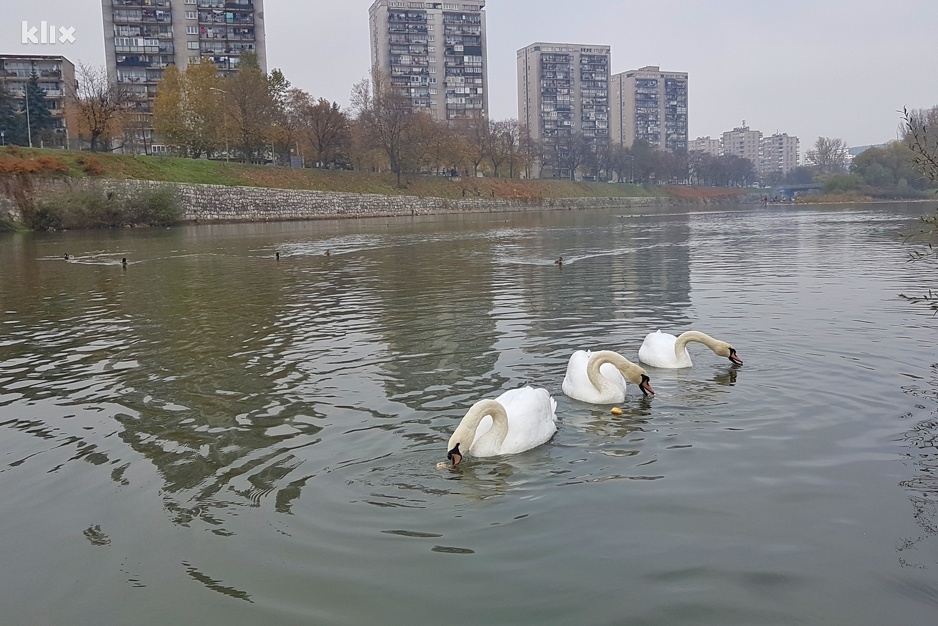 Foto: Elmedin Mehić/Klix.ba