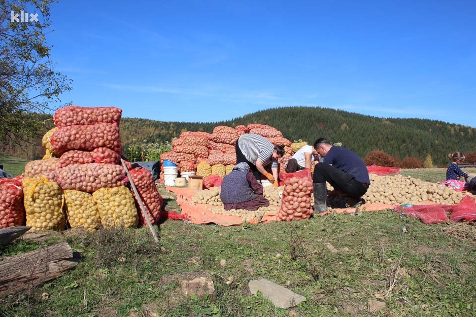 Poljoprivredni proizvođači iz Srebrenice (Foto: Davorin Sekulić/Klix.ba)