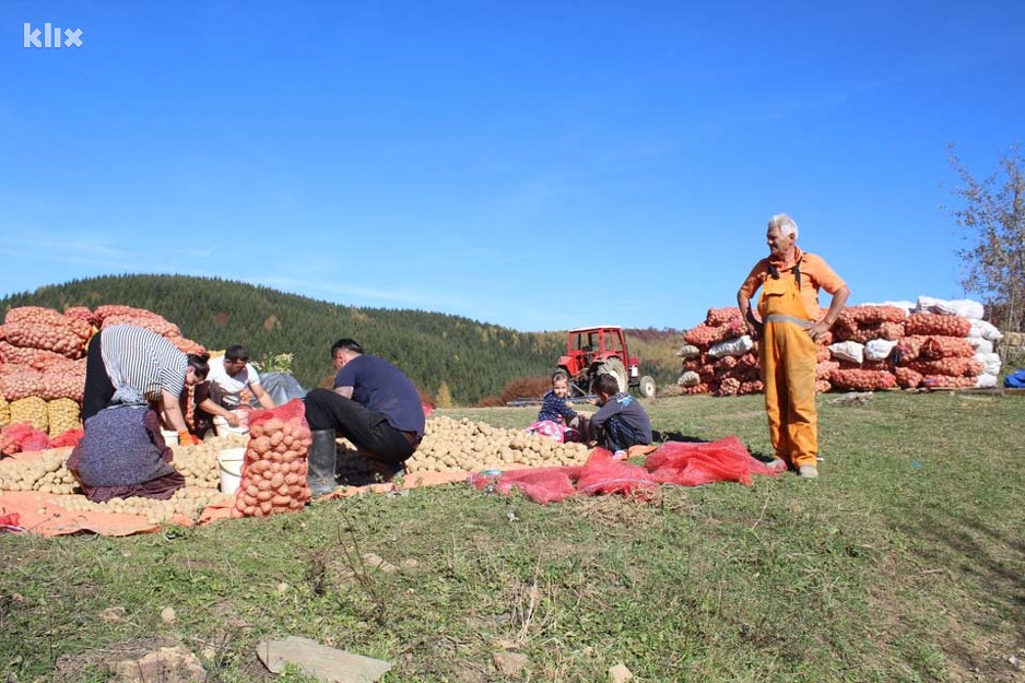 Azem Ašić (Foto: Davorin Sekulić/Klix.ba)